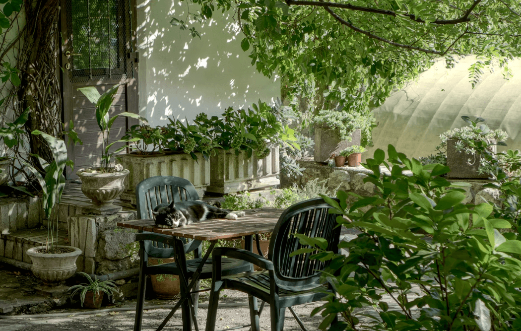 Welches Geschenk für den Garten? Geschenkideen für alle, die das Draußen lieben  